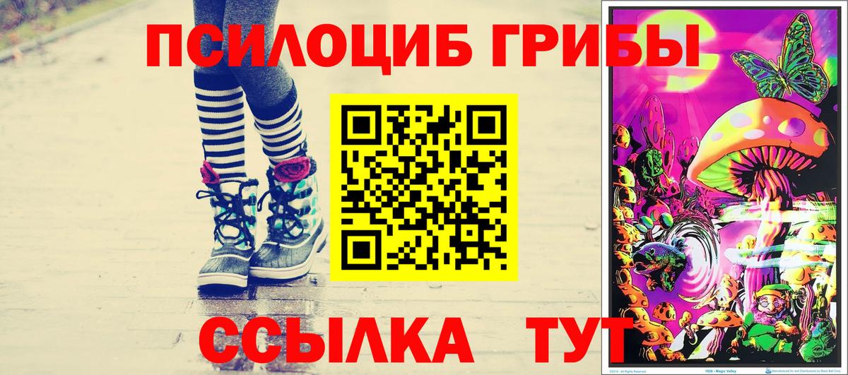 Галлюциногенные грибы Psilocybine cubensis Кудрово