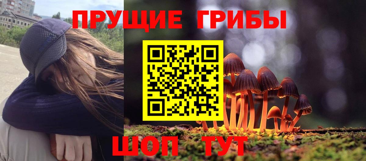 Кудрово  наркошоп  Вход с VPN  Галлюциногенные грибы Cubensis 